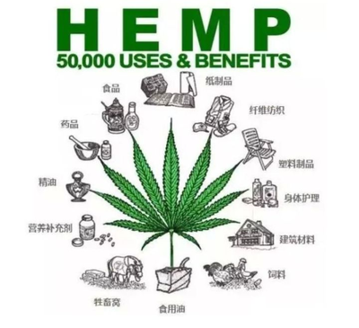 工業大麻火熱背后 泡沫還是金礦？石油制品制造的視角分析